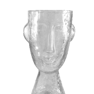 Florero de cristal con rostro transparente